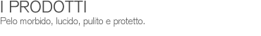 Mi Fido Amici Davvero